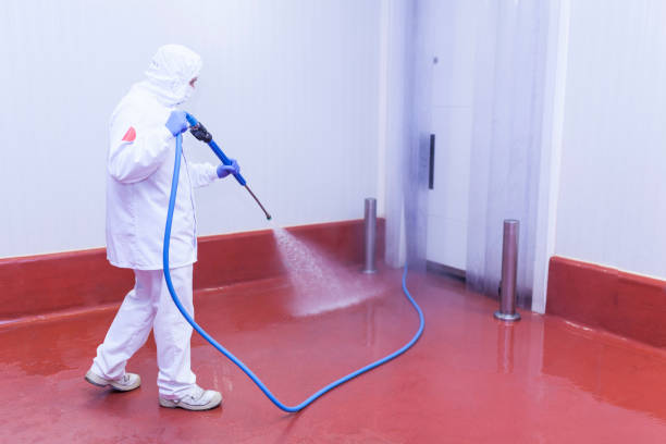 Best Residential Exterior Washing  in Accokeek, MD